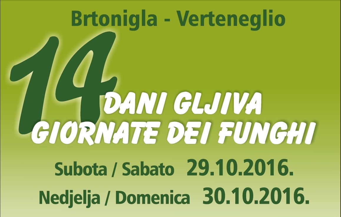 14. DANI GLJIVA