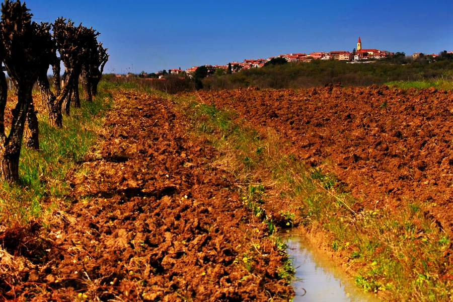 Poziv za prijavu štete nastale od nevremena 02. svibnja 2014. g na području Općine Brtonigla