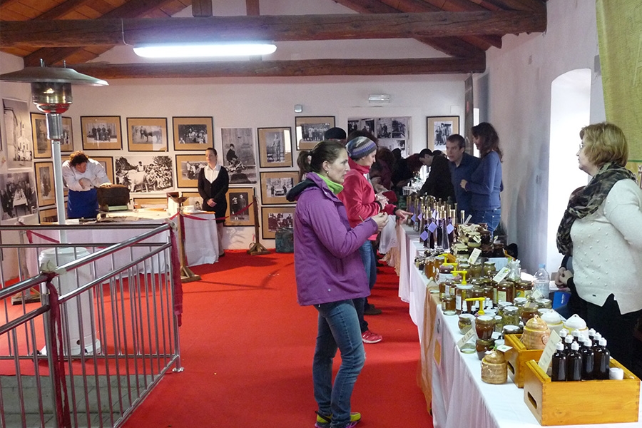 3.CHOCO & WINE FEST - 5. BRTONIGLA ADVENTURE TRECK