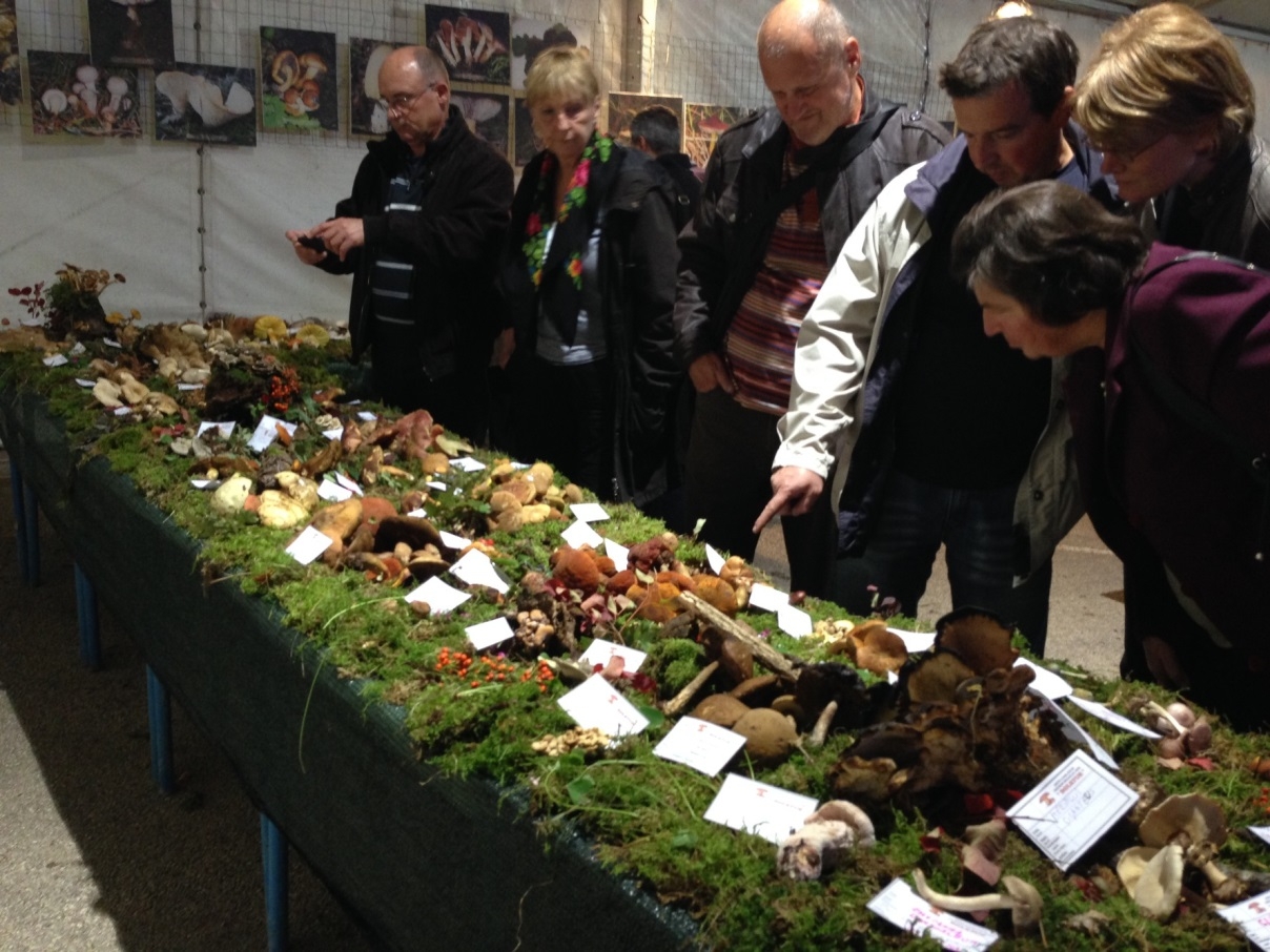 Profumi e sapori d’ autunno a Verteneglio. Dodicesima edizione delle Giornate dei funghi