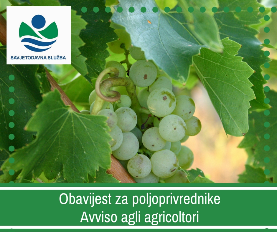 AVVISO IMPORTANTE AI VITICOLTORI!
