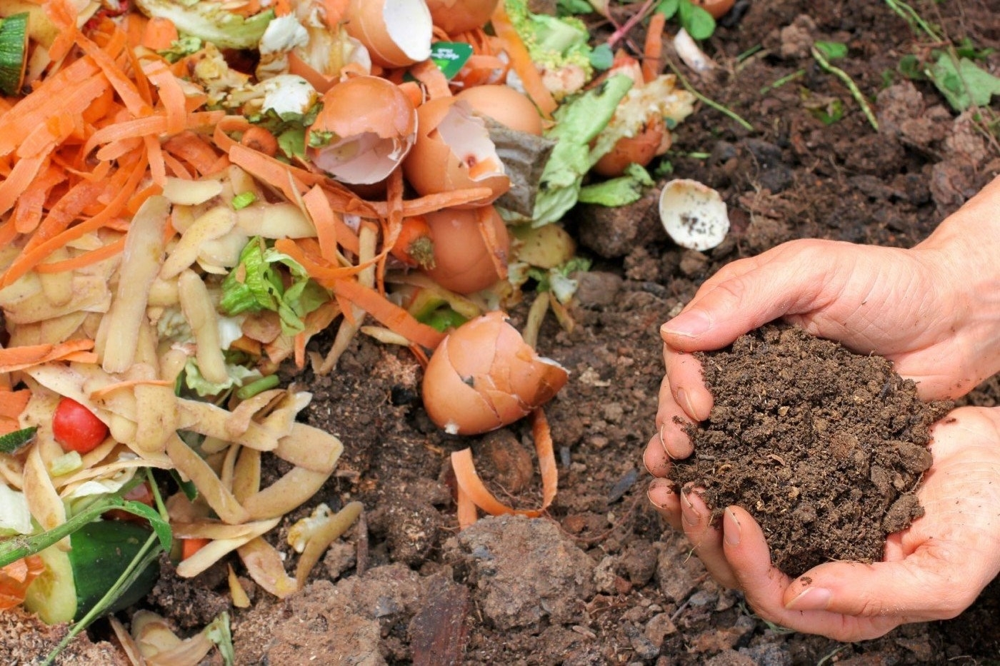 Laboratorio: guida al compostaggio domestico