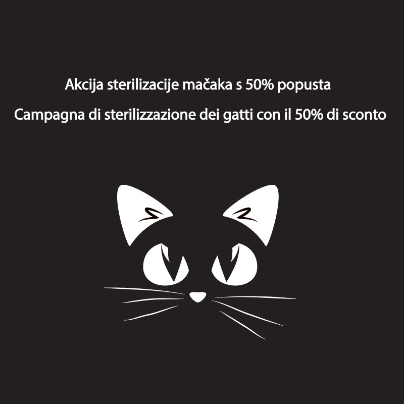 Anche quest’anno si organizza la campagna di sterilizzazione dei gatti a prezzi scontati – prenotatevi dai veterinari aderenti all’iniziativa!