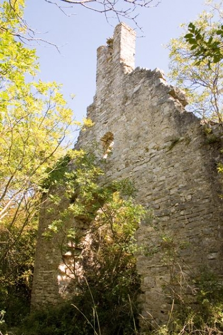 L'immagine è verticale e mostra la parte anteriore delle rovine della chiesa di San Giorgio, in un cespuglio incolto e tra i rami degli alberi bassi.
