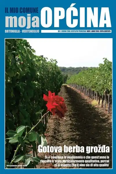 Questa foto ha la forma di un foglio A4 in posizione verticale, si tratta della copertina della rivista "Il mio comune", prima edizione. Lo sfondo del pulsante è blu. In alto, a sinistra, vi è una scritta in minuscolo, a caratteri dal colore blu scuro, in italiano: "Il mio comune". L'iscrizione si trova subito sopra la parola "moja" che costituisce il titolo croato di "Moja općina", e la parola "moja" è scritta in piccole lettere bianche di media grandezza. Dopo di che appare l'iscrizione "comune" in grandi lettere stampate bianche, che si estende fino alla fine della pagina. Sotto il frontespizio c'è un'immagine che occupa più di 3/4 della pagina. Nella foto c'è un filare del vigneto, pieno di foglie verdi, mentre all'inizio del vigneto c'è una rosa rossa, che si trova in primo piano nella foto. Il link che si attiva cliccando il pulsante porta ad un PDF con il contenuto della rivista "Il mio comune", num. 1.